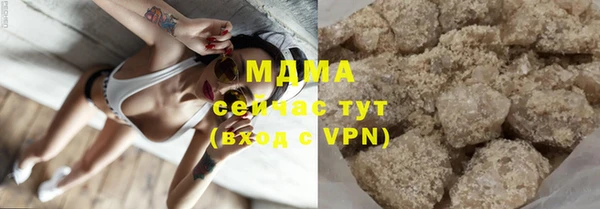 молекула духа Богданович
