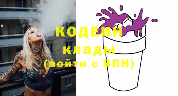 молекула духа Богданович