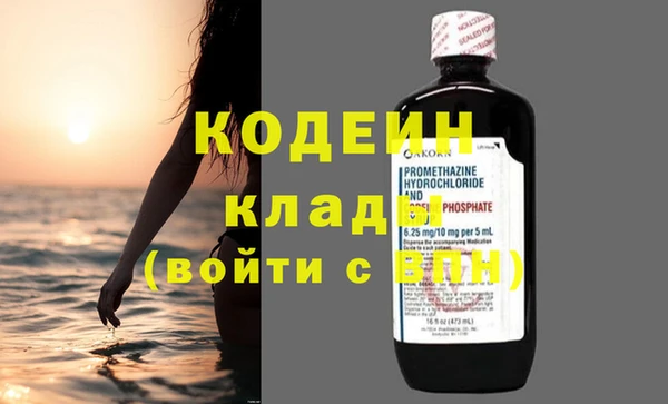 молекула духа Богданович