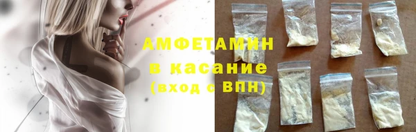 молекула духа Богданович