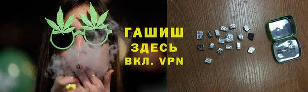 молекула духа Богданович