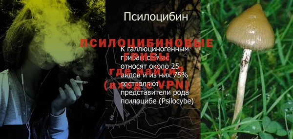 молекула духа Богданович