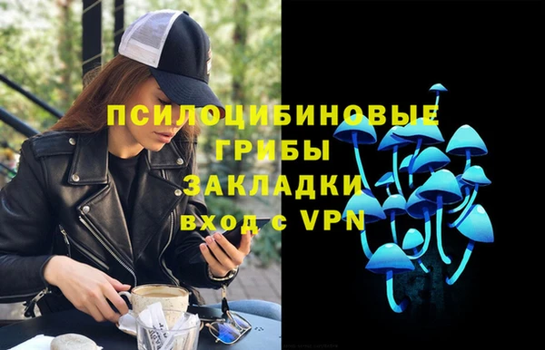 бошки Богородицк