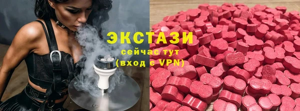 молекула духа Богданович